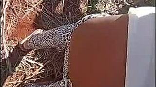 i fucked my brazilian mother-in-law's tight ass in the woods after forro dancing.