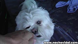 Nacho Vidal could not resist the temptation to see pornstar blonde Alyssa Branch while she was preparing for the scene this is the back of the camera of that moment