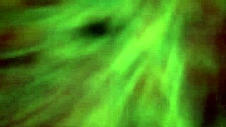 I watch Icey Candi twerk on my big black dick... oops!