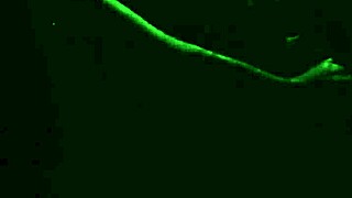 My Girlfriend's Hot Car Blowjob Makes Me Cum Fast in Her Mouth