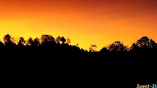 The teen babe licks dick and gets banged hard in the group