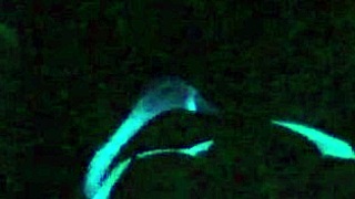 scarlett johnson gets wild under blacklight, showing off her body and taking that big penis