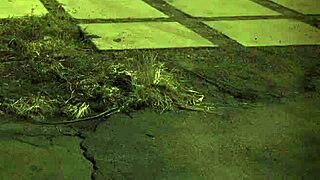 i love this extreme teen fucking, unless you're from the sixties