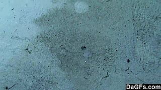 dagfs - my teen girlfriend flashes her ass in the park and gives me a blowjob