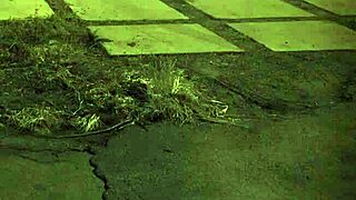 old man beard dominates unless you're from the sixties!!