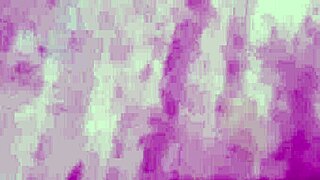 vivi guedez made adult film without husband knowing