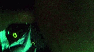 fucking a hot brunette doggystyle in steamy homemade action tonight