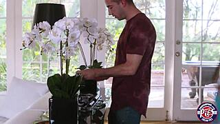 Brunette Teen Davina Takes a Hard Pounding with Her Man’s Cock Until a Sticky Creampie Finish.