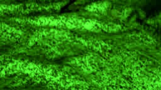 redhot fox rides big tits in cowgirl, then doggystyle blowjob rough fucking