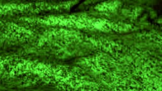 redhot fox rides big tits in cowgirl, then doggystyle blowjob rough fucking