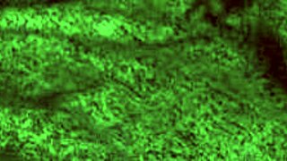 redhot fox rides big tits in cowgirl, then doggystyle blowjob rough fucking