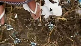 Orgy In Bush With Four Well-Endowed Young Guys.