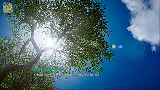 eternum 233 game with curvy teen in 3d anime