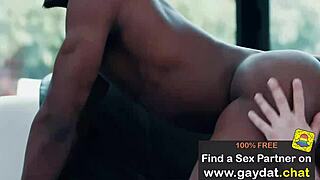 black hair and inked jett rink enjoys anal interracial with huge assfucking