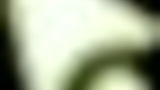 summer clover harem hentai game big blonde step sister rides giant cock night