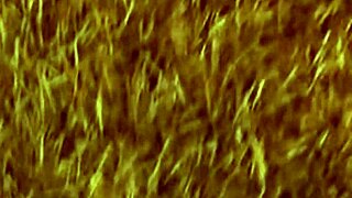 Two girls said it's just a photo shoot but it turned into casting