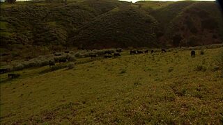 Brooke Ballentyne fucks a hired ranch hand by the fireside outdoors hard!