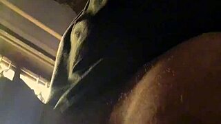 Lluvia De Penes: Bad Wolf28 in Steamy British Shower Scene