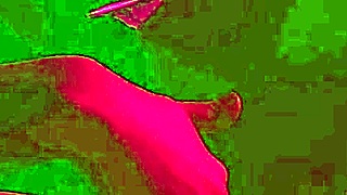 hot teen masturbates her wet pussy after school!