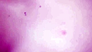 I let her cum on my gorgeous penis