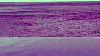 Infinity Pool Dips Into Cute Japanese Student's Wild College Fantasies