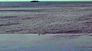 Infinity Pool Dips Into Cute Japanese Student's Wild College Fantasies