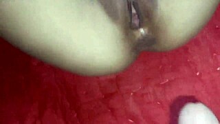 Stepmom begs stepson to lick her big cock