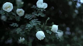 my college friend fucked me hard in a group setting