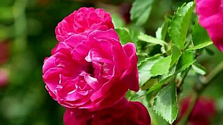 my college friend fucked me hard in a group setting