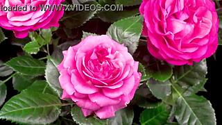 my college friend fucked me hard in a group setting