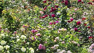 my college friend fucked me hard in a group setting