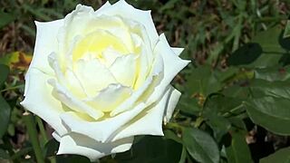 my college friend fucked me hard in a group setting