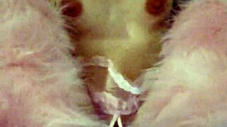 Whoa pregnant milf kitty's pussy gets wrecked by that giant creature dildo then creampied 😱🍆💦